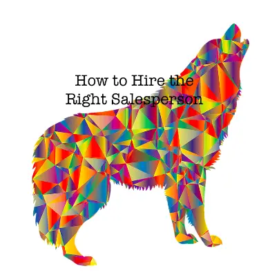 how to hire the right salesperson