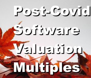 valuation multiples for software companies post-covid